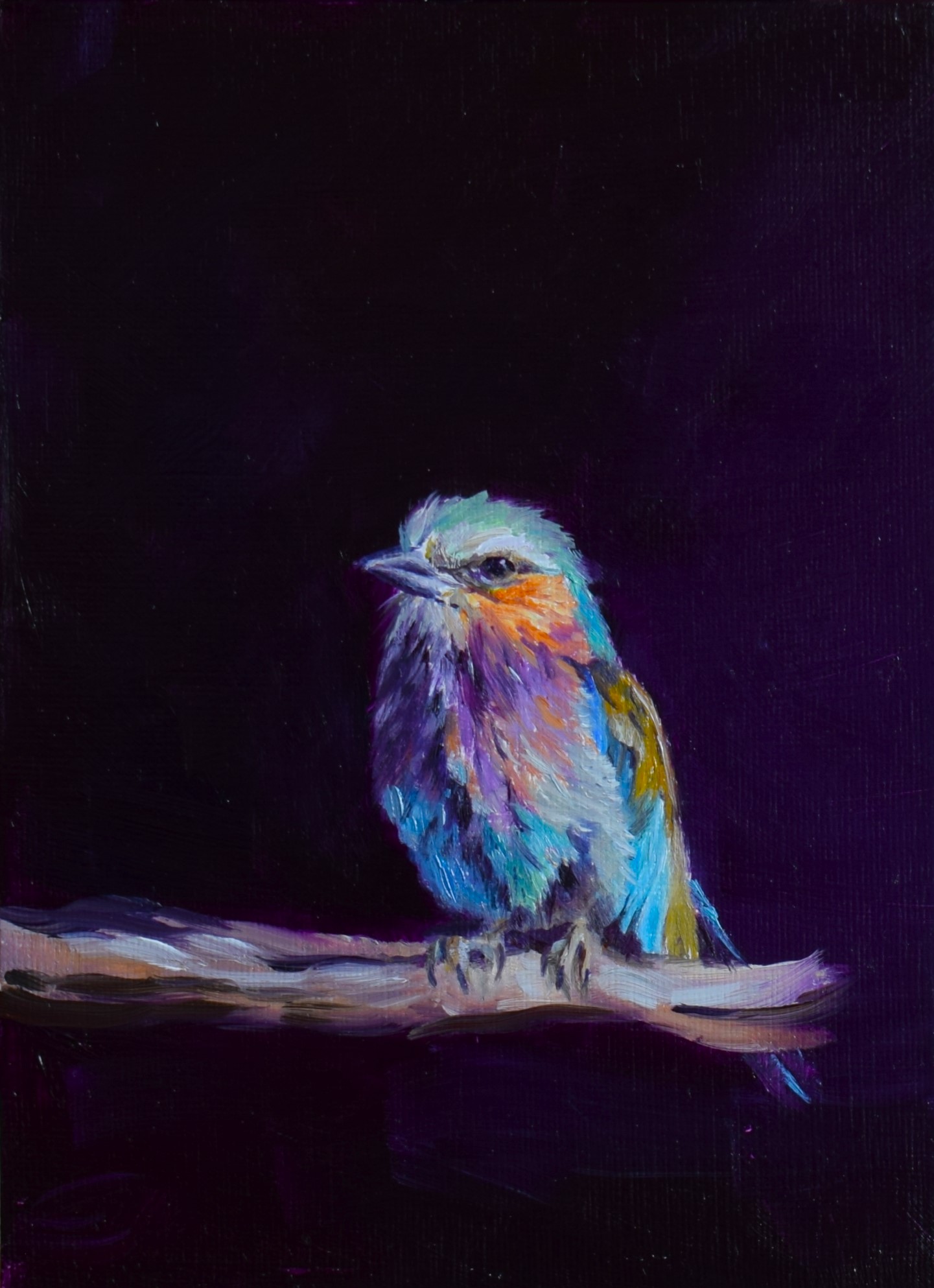 Lilac breasted roller print