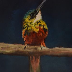 Chestnut breasted coronet - original oil painting