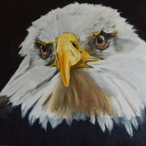 Bald eagle print